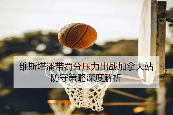 维斯塔潘带罚分压力出战加拿大站 防守策略深度解析